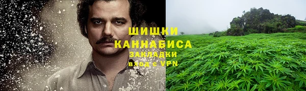 ПСИЛОЦИБИНОВЫЕ ГРИБЫ Армянск