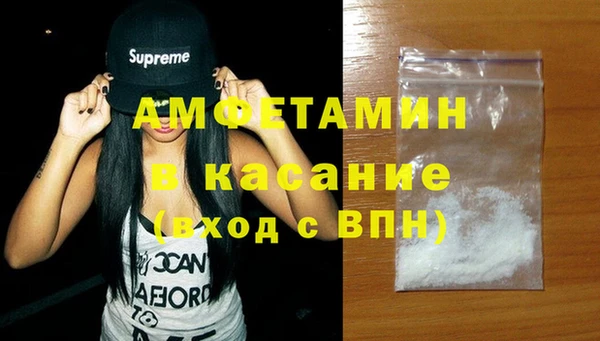 прущие грибы Новодвинск