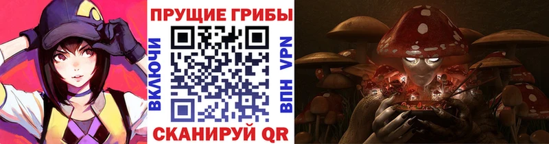 купить наркоту  мега сайт  Псилоцибиновые грибы Magic Shrooms  Чердынь 