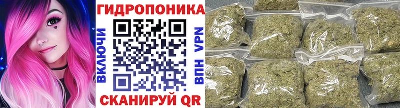 Бошки Шишки гибрид  Чердынь 
